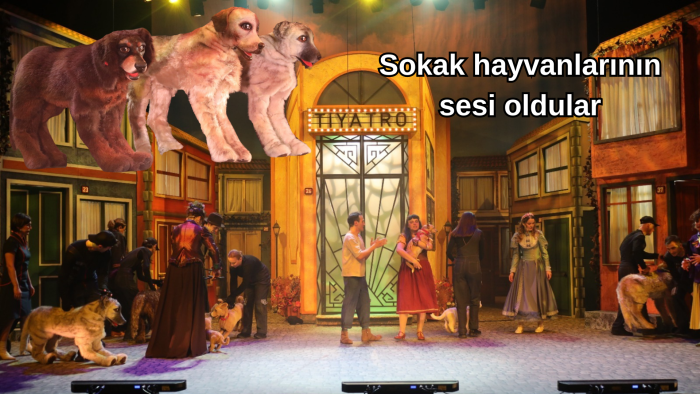 “Şebo Müzikali” sokak hayvanlarının sesi oldu